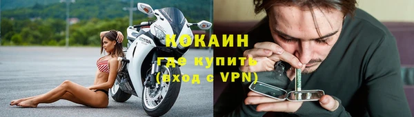 стаф Каменногорск