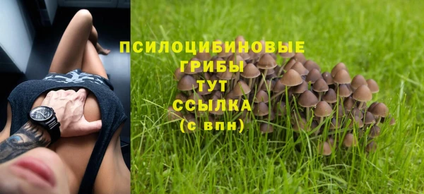 трава Зерноград