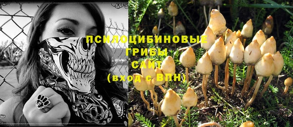 трава Зерноград