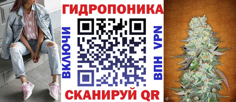 Канабис сатива  Купить закладки  Иннополис 